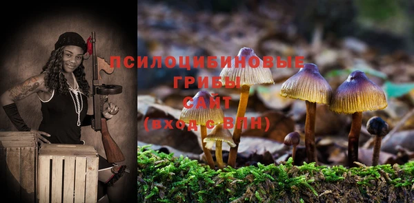 mix Аркадак