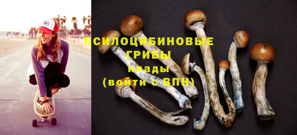 шишки Рославль