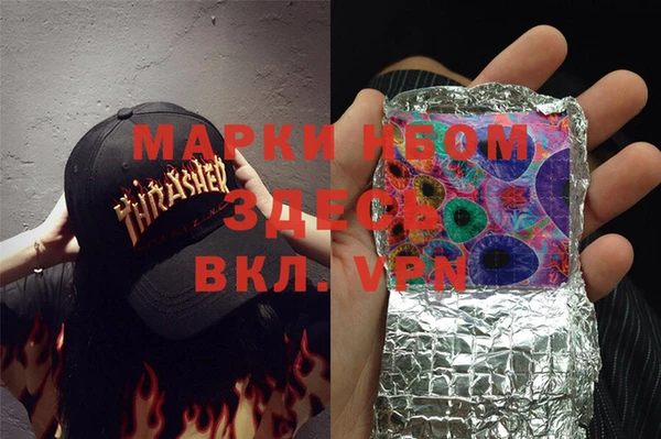 шишки Мегион